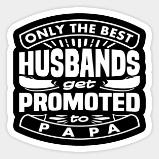 Get Promoted To Papa Funny Saying Typography Sticker